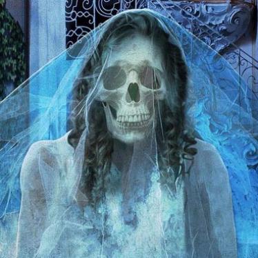 the haunted bride.jpeg